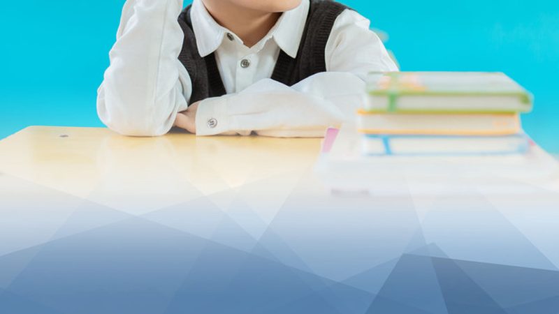 网络教育学费之谜：揭秘学费构成与影响因素